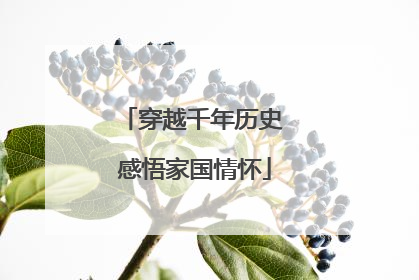 穿越千年历史 感悟家国情怀