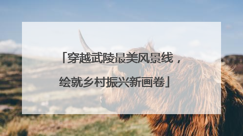穿越武陵最美风景线，绘就乡村振兴新画卷