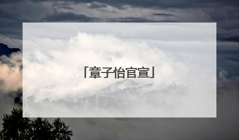 章子怡官宣