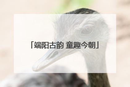 端阳古韵 童趣今朝