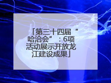 第三十四届“哈洽会”：6项活动展示开放龙江建设成果