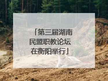 第三届湖南民盟职教论坛在衡阳举行