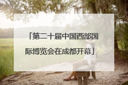 第二十届中国西部国际博览会在成都开幕
