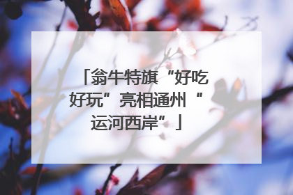 翁牛特旗“好吃好玩”亮相通州“运河西岸”