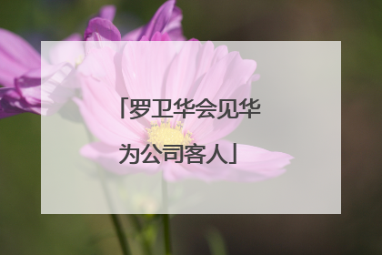 罗卫华会见华为公司客人