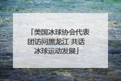 美国冰球协会代表团访问黑龙江 共话冰球运动发展