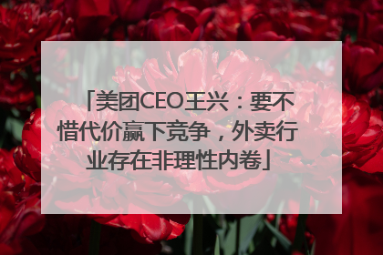 美团CEO王兴：要不惜代价赢下竞争，外卖行业存在非理性内卷