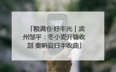 粮满仓·好丰光｜滨州邹平：冬小麦开镰收割 奏响夏日丰收曲