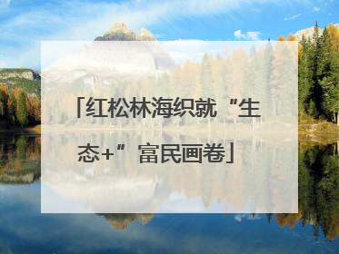红松林海织就“生态+”富民画卷