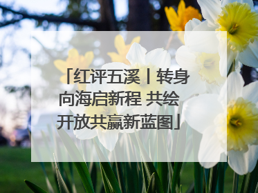 红评五溪丨转身向海启新程 共绘开放共赢新蓝图