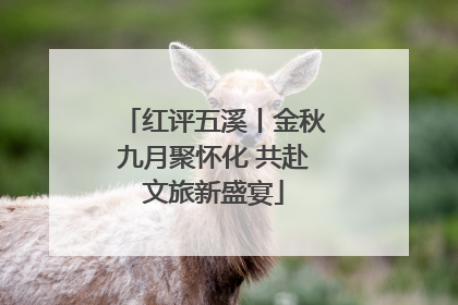 红评五溪丨金秋九月聚怀化 共赴文旅新盛宴