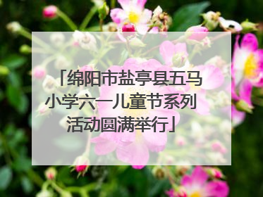 绵阳市盐亭县五马小学六一儿童节系列活动圆满举行