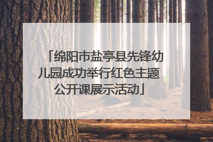 绵阳市盐亭县先锋幼儿园成功举行红色主题公开课展示活动