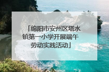 绵阳市安州区塔水镇第一小学开展端午劳动实践活动