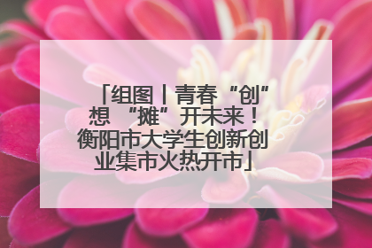 组图丨青春“创”想 “摊”开未来！衡阳市大学生创新创业集市火热开市