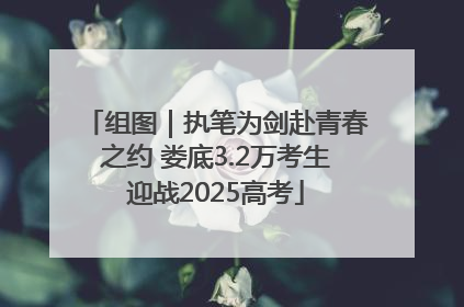 组图｜执笔为剑赴青春之约 娄底3.2万考生迎战2025高考