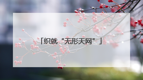 织就“无形天网”