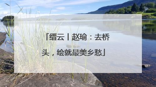 缙云丨赵瑜：去桥头，绘就最美乡愁
