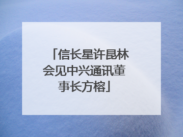 信长星许昆林会见中兴通讯董事长方榕