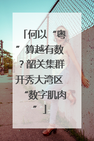 何以“粤”算越有数？韶关集群开秀大湾区“数字肌肉”