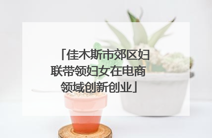 佳木斯市郊区妇联带领妇女在电商领域创新创业