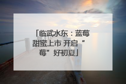 临武水东：蓝莓甜蜜上市 开启“莓”好初夏