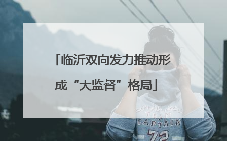 临沂双向发力推动形成“大监督”格局