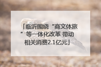 临沂围绕“商文体旅”等一体化改革 带动相关消费2.1亿元