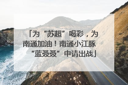 为“苏超”喝彩，为南通加油！南通小江豚“蓝叒叒”申请出战