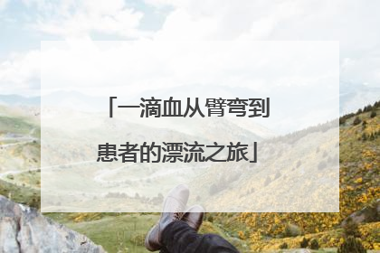一滴血从臂弯到患者的漂流之旅