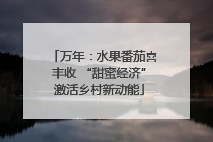 万年：水果番茄喜丰收 “甜蜜经济”激活乡村新动能
