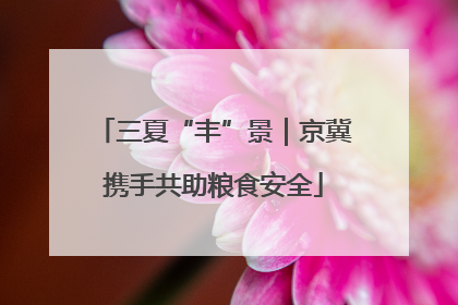 三夏“丰”景｜京冀携手共助粮食安全