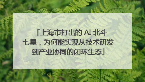 上海市打出的 AI 北斗七星，为何能实现从技术研发到产业协同的闭环生态