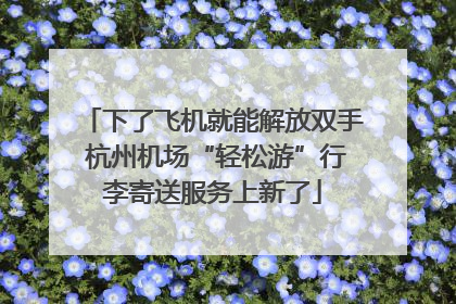 下了飞机就能解放双手 杭州机场“轻松游”行李寄送服务上新了