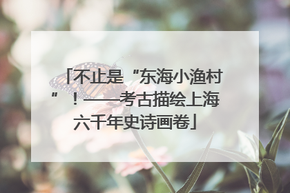不止是“东海小渔村”！——考古描绘上海六千年史诗画卷