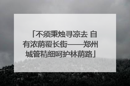 不须秉烛寻凉去 自有浓荫覆长街——郑州城管精细呵护林荫路