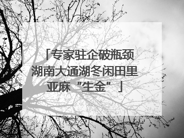 专家驻企破瓶颈 湖南大通湖冬闲田里亚麻“生金”