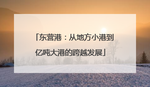 东营港：从地方小港到亿吨大港的跨越发展