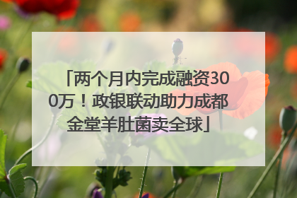 两个月内完成融资300万！政银联动助力成都金堂羊肚菌卖全球