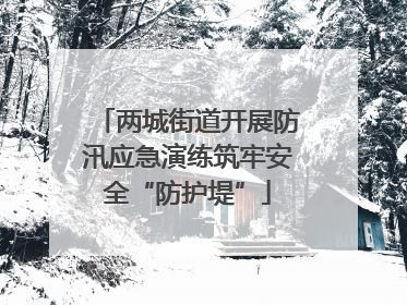 两城街道开展防汛应急演练筑牢安全“防护堤”