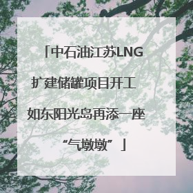中石油江苏LNG扩建储罐项目开工 如东阳光岛再添一座“气墩墩”