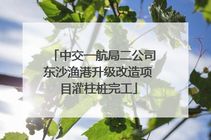 中交一航局二公司东沙渔港升级改造项目灌柱桩完工