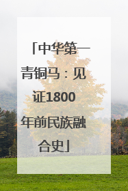 中华第一青铜马：见证1800年前民族融合史