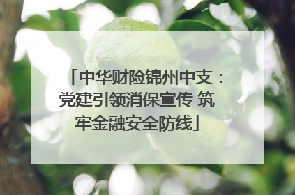 中华财险锦州中支：党建引领消保宣传 筑牢金融安全防线