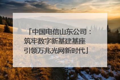 中国电信山东公司：筑牢数字新基建基座 引领万兆光网新时代