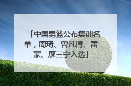 中国男篮公布集训名单，周琦、曾凡博、雷蒙、廖三宁入选