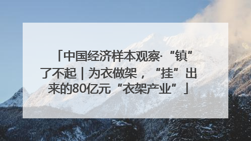 中国经济样本观察·“镇”了不起｜为衣做架，“挂”出来的80亿元“衣架产业”