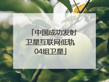 中国成功发射卫星互联网低轨04组卫星