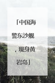 中国海警东沙舰，现身黄岩岛