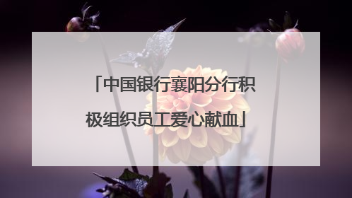 中国银行襄阳分行积极组织员工爱心献血